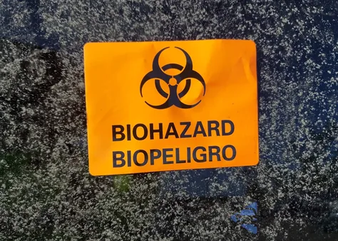 2001 Ford Windstar z USA, uszkodzony, nr VIN 2FTZA54411BC16454